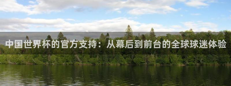 世界杯赛程表：中国世界杯的官方支持：从幕后到前台的全球球迷体验