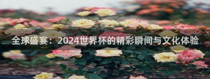 世界杯转播表：全球盛宴：2024世界杯的精彩瞬间与文化体验