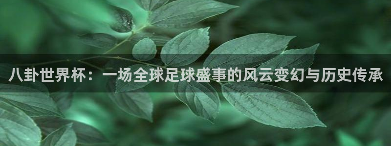 世预赛赛程表：八卦世界杯：一场全球足球盛事的风云变幻与历史传承