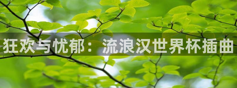 足球比分直播世界杯：狂欢与忧郁：流浪汉世界杯插曲