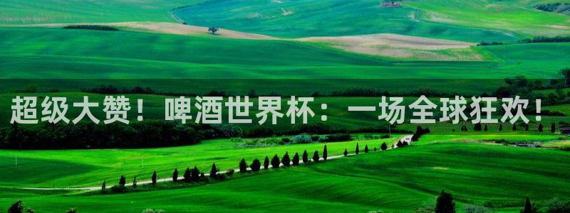 免费足球比赛直播高清：超级大赞！啤酒世界杯：一场全球狂欢！