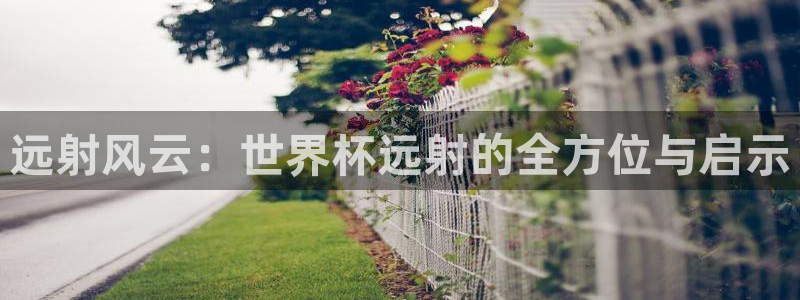 2026年足球世界杯赛程时间表：远射风云：世界杯远射的全方位与启示
