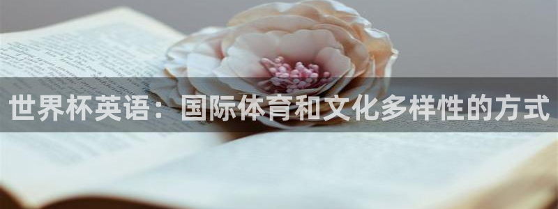 世界杯直播观看：世界杯英语：国际体育和文化多样性的方式