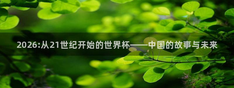 免费足球比赛直播高清：2026:从21世纪开始的世界杯——中国的故事与未来