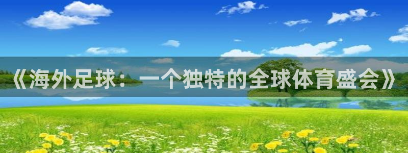 2026世界杯官网：《海外足球：一个独特的全球体育盛会》